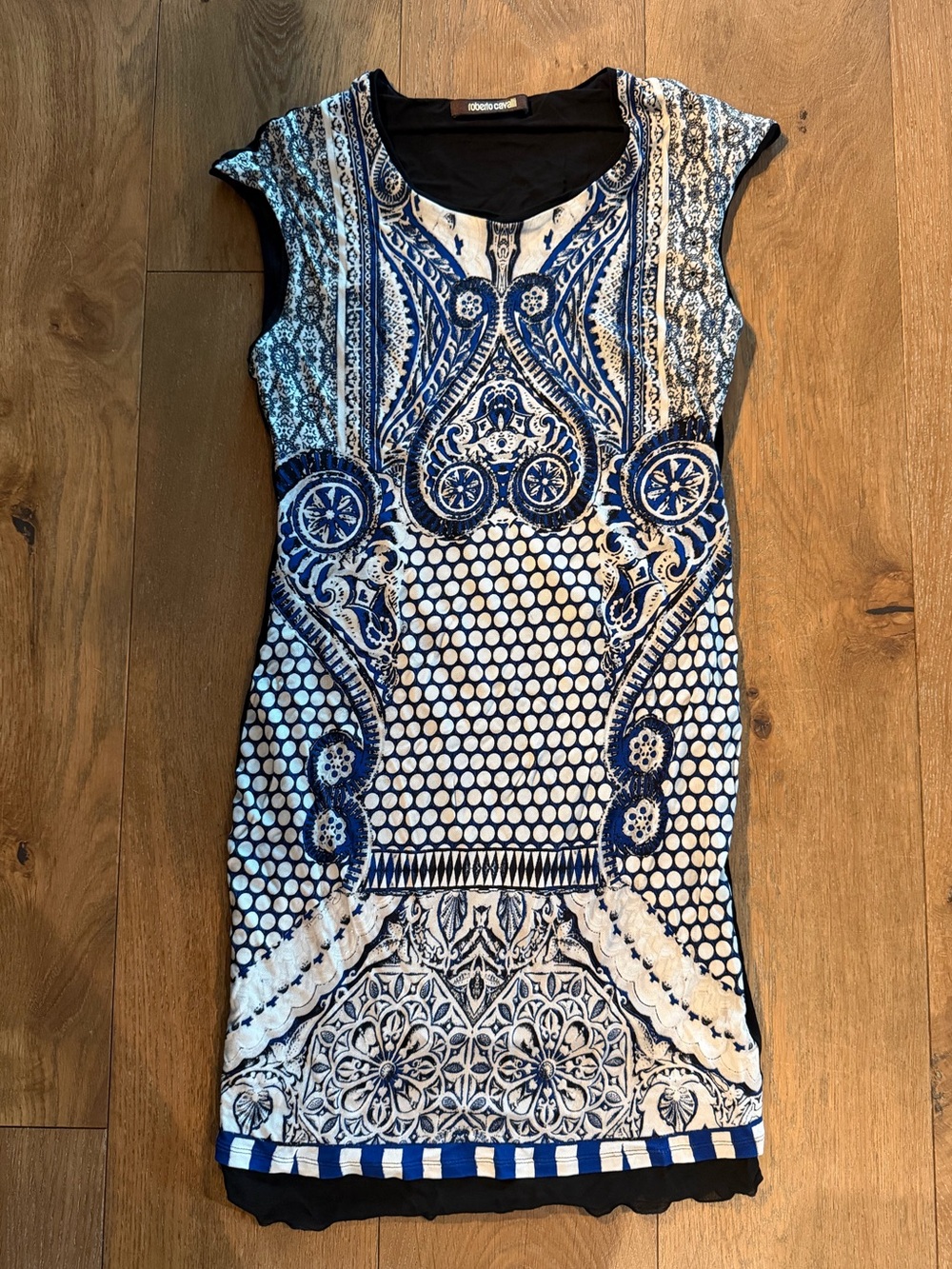 Vintage Roberto Cavalli Mesh Dress
